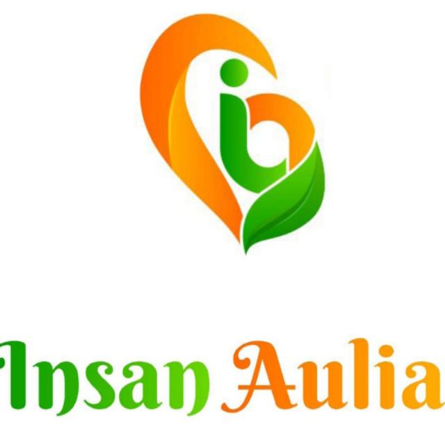 SDIT Insan Aulia